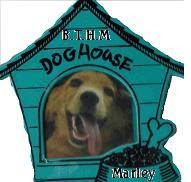 BTHM The dog house button