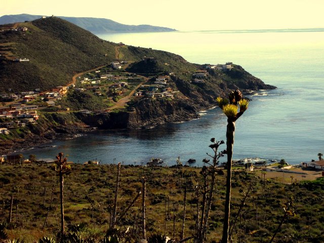 [IMG_0083.jpg]