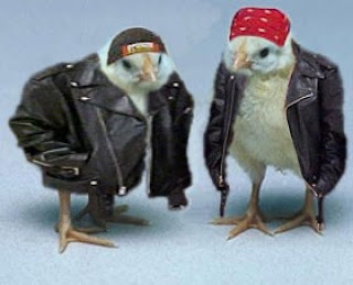 KRIPPLEDWARRIOR: BIKER CHICKS