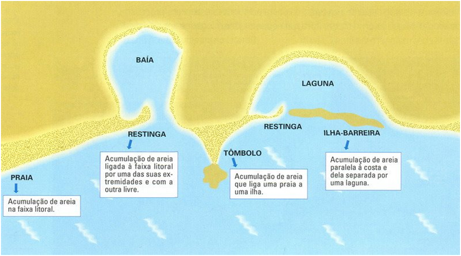 Biologia/Geologia 11: Formas de Deposição