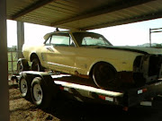 MUSTANG PROJECT 1966