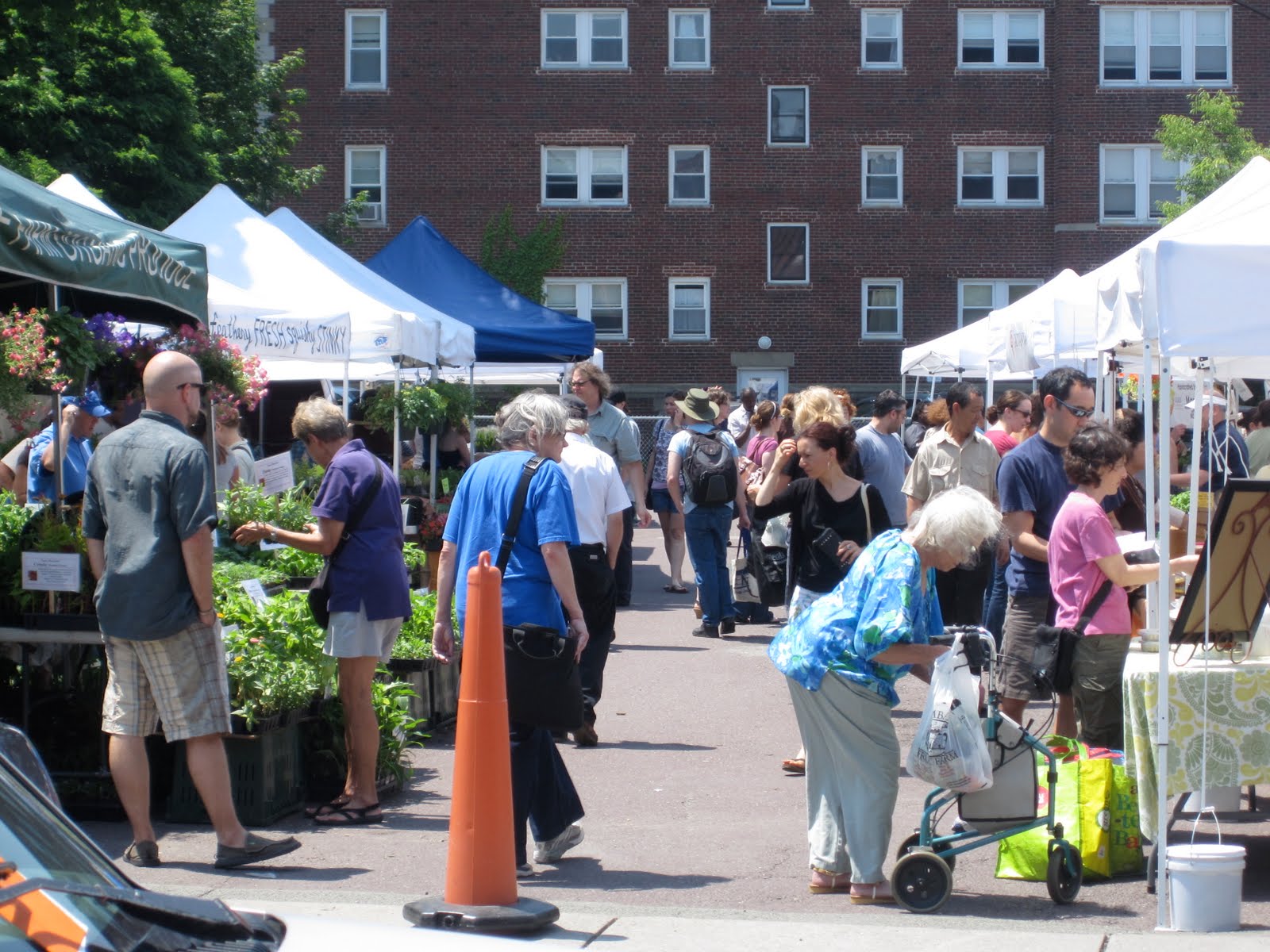 Local in Somerville Winter Farmers Market in Somerville!