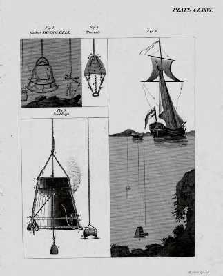 Invertebrate Diversity: Invention of AquaLung - Mrs. D'Arco