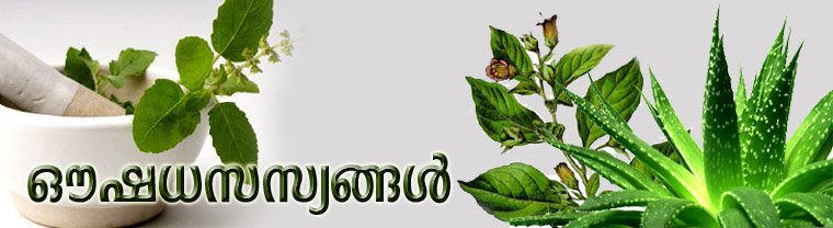 ഔഷധസസ്യങ്ങള്‍.
