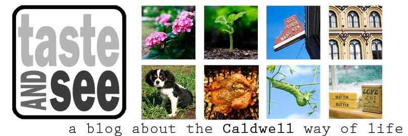 Taste and See: A Caldwell Blog