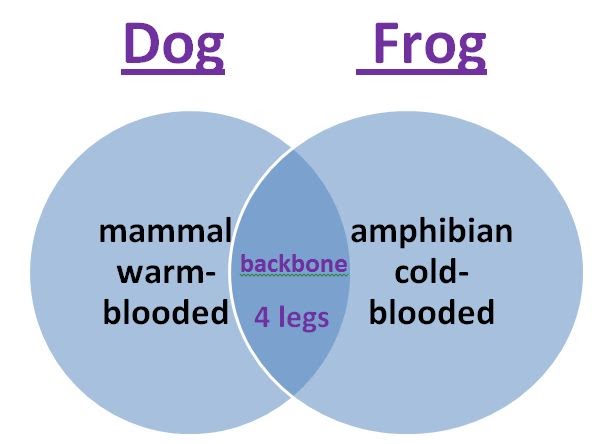 Learning Ideas - Grades K-8: Use a Venn Diagram to Compare Animals