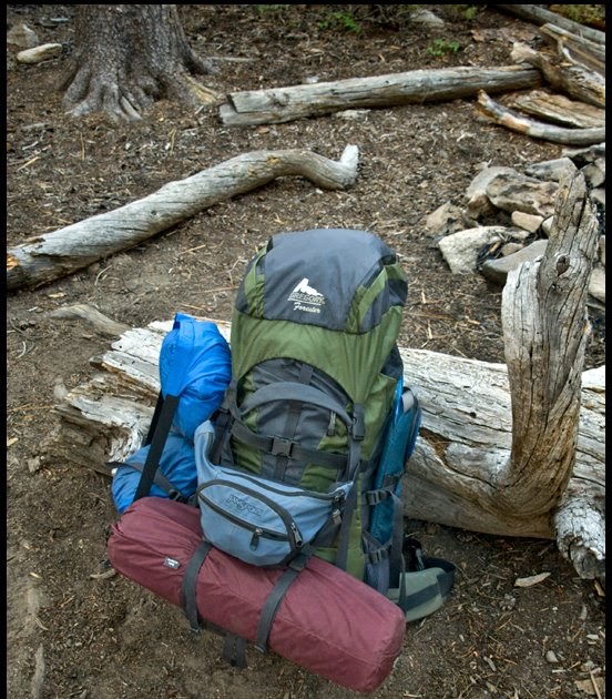 gregory forester backpack