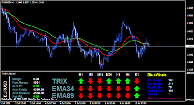 Indicator that looks at all forex pairs for general direction