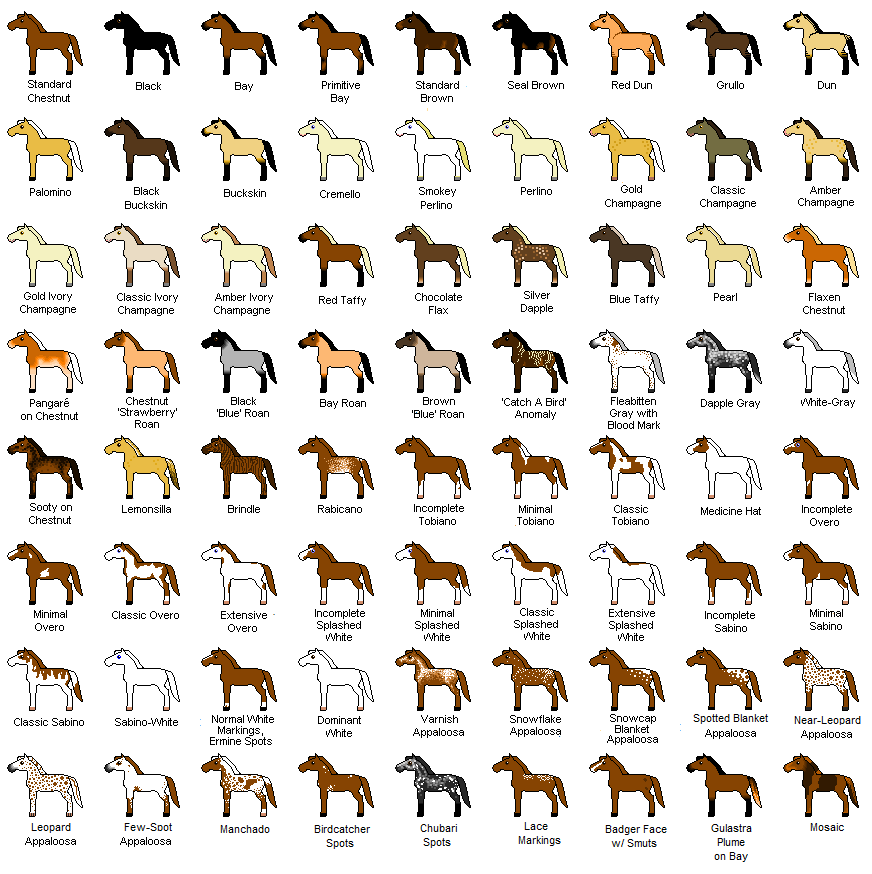 Schleich Horses Custom schleich-horses-custom