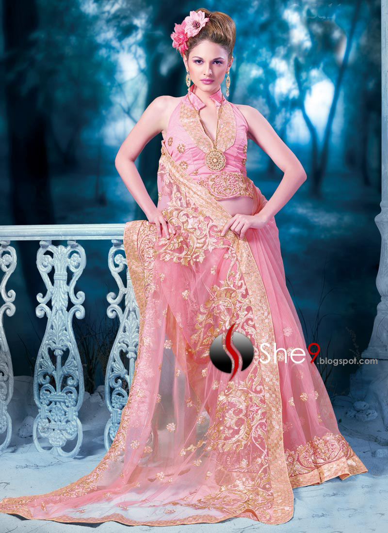 Indian Saree Saree for Night Parties Sarees of India 2010 Indian