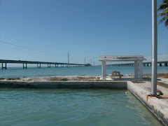 the saltwater pool on Pigeon Key. New and old 7 mile bridges in the background