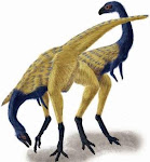 Limasaurus