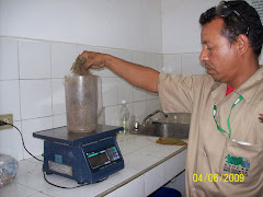 Peso