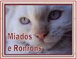Visitem Miados e Ronrons: