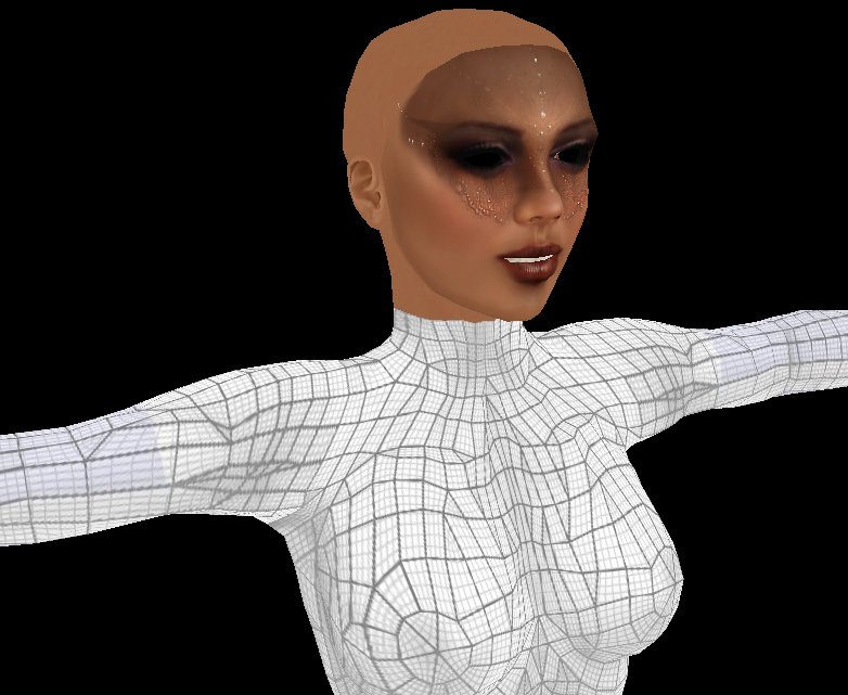 Gull gallery avatar skins