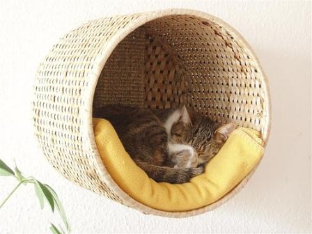 Disparidad Costa billetera Gatos en casa: Original cama de gato para colgar en la pared