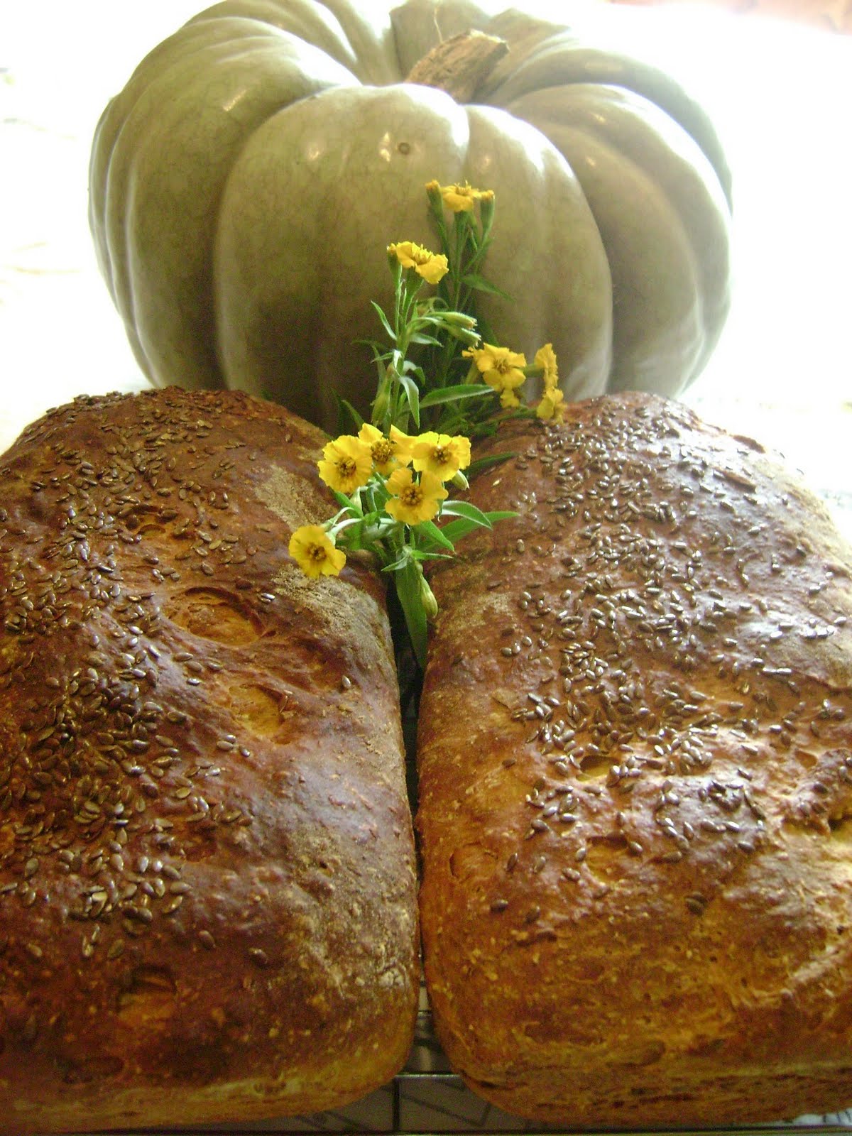 TSG Fresh Pumpkin Raisin Yeast Bread