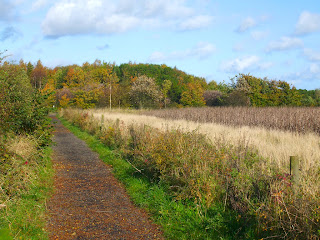 The Rising Sun country park The Rising Sun country park