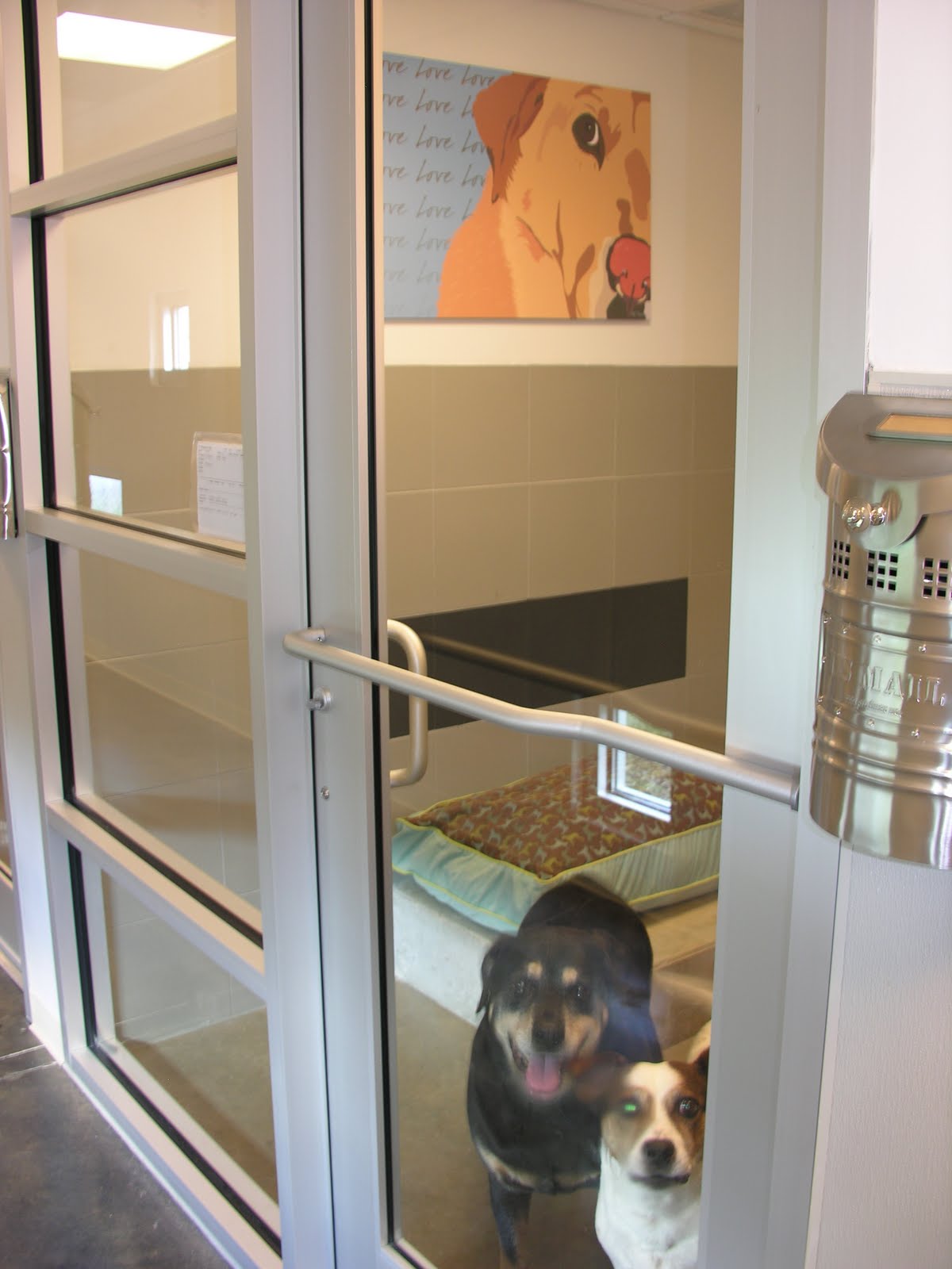 Ali's Paw Prints More pics from Best Friends Pet Care!