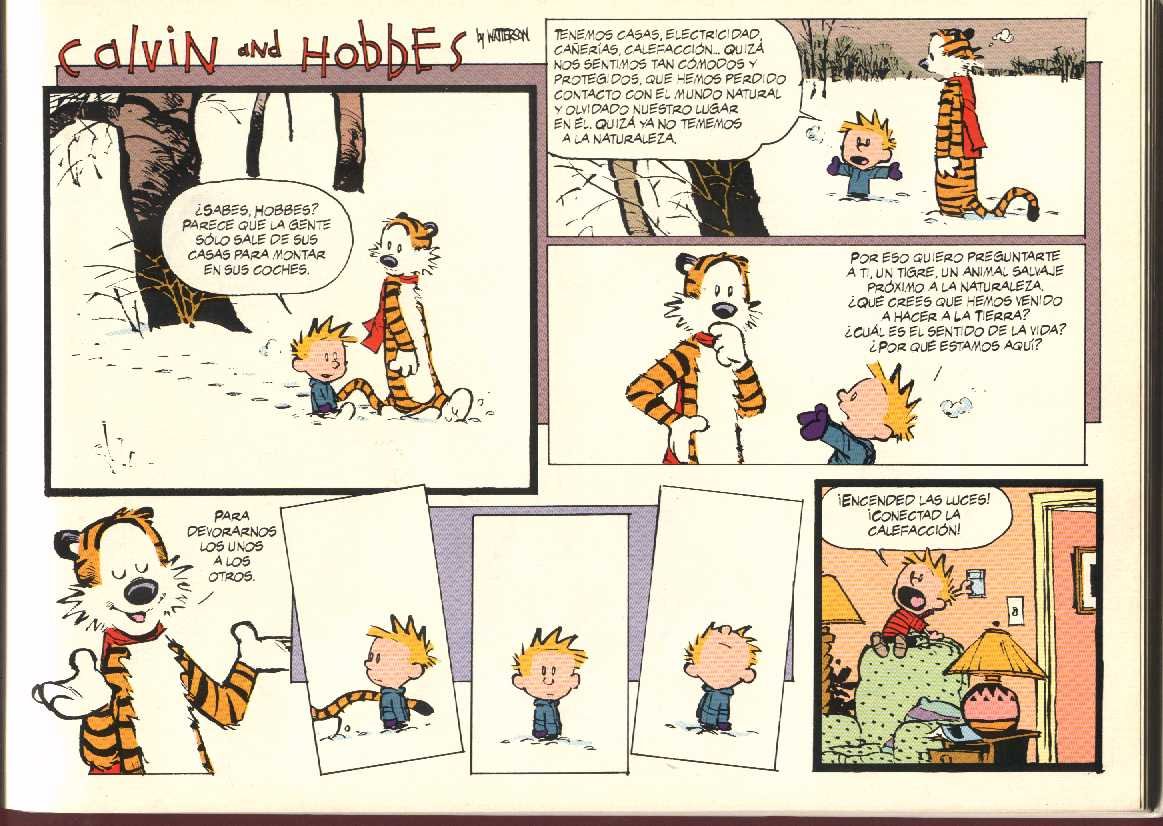 Cual es el sentido de la vida. Calvin and Hobbes. Revista de
