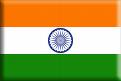 The Indian Flag
