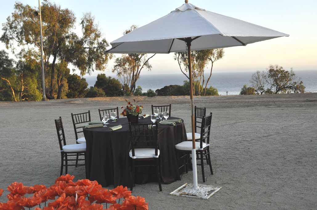 Malibu Weddings&Events Green Wedding on a Horse Arena