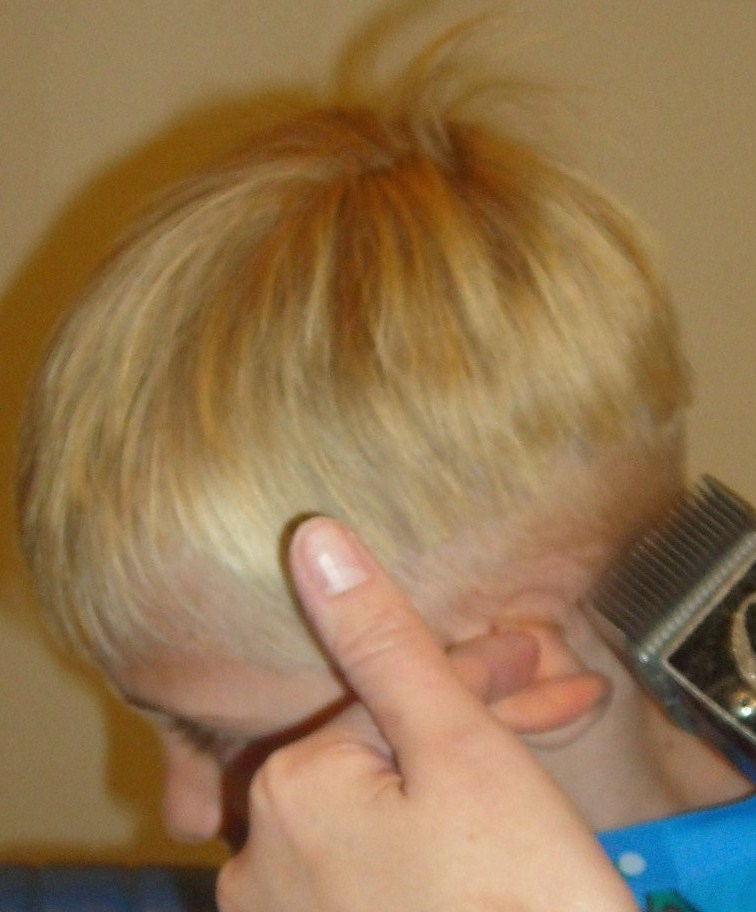 [Tuck+ear,+sides.JPG]