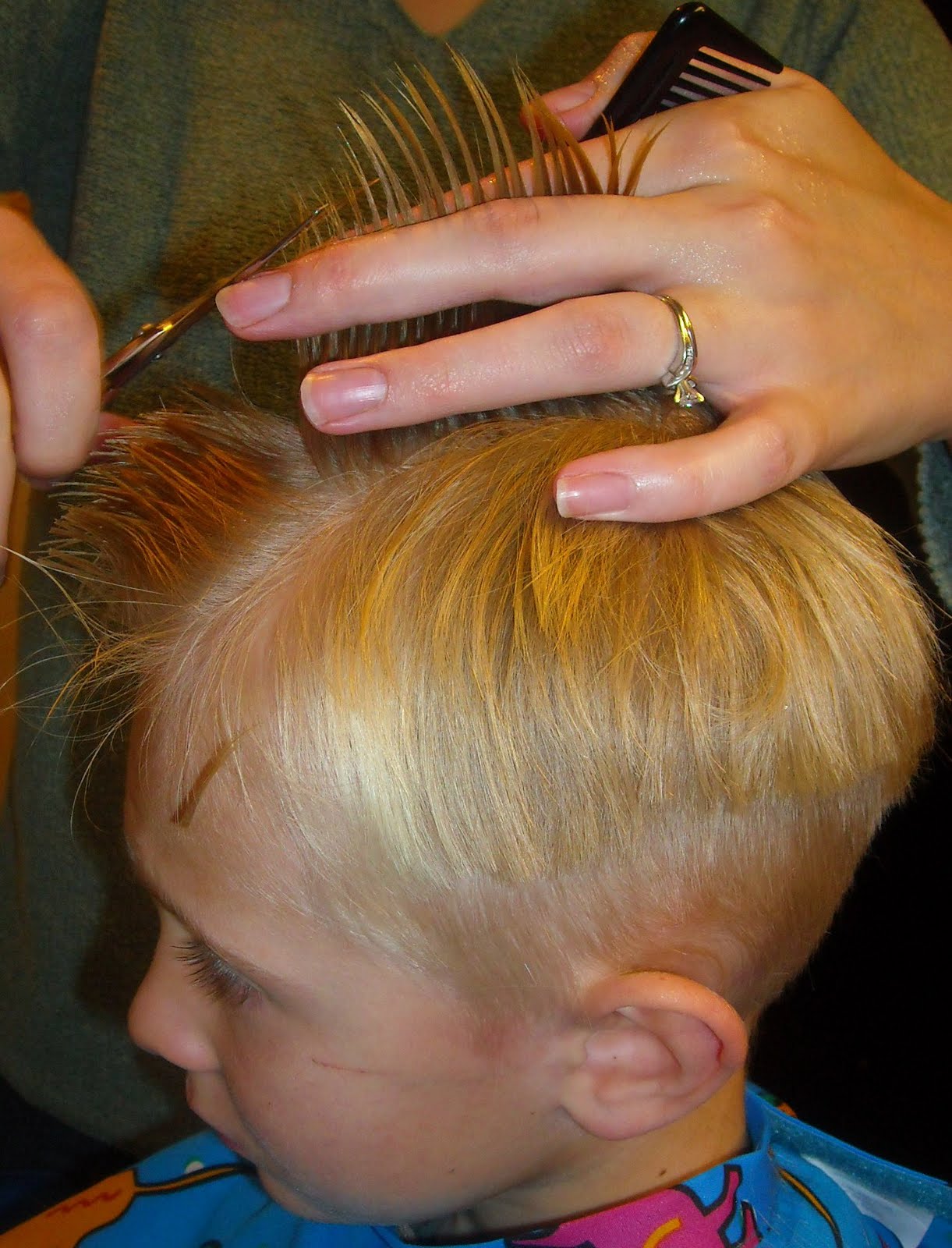 [short+sections+to+guide.JPG]