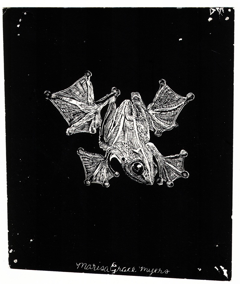 Marisa Hopkins Living the Creative Life Friday Flashback Froggies! I