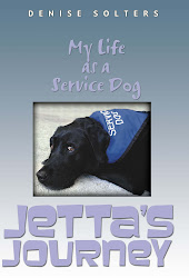 Jetta's Journey Book Cover
