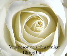 Mysig bloggbutik