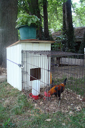 chicken coop coops dog run attached kennel cedar planter houses pen yard chickens interesting idea cage runs bird into rooster