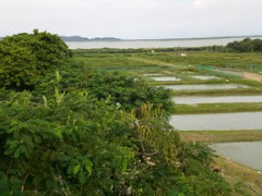 Granja en el Atlantico Colombiano