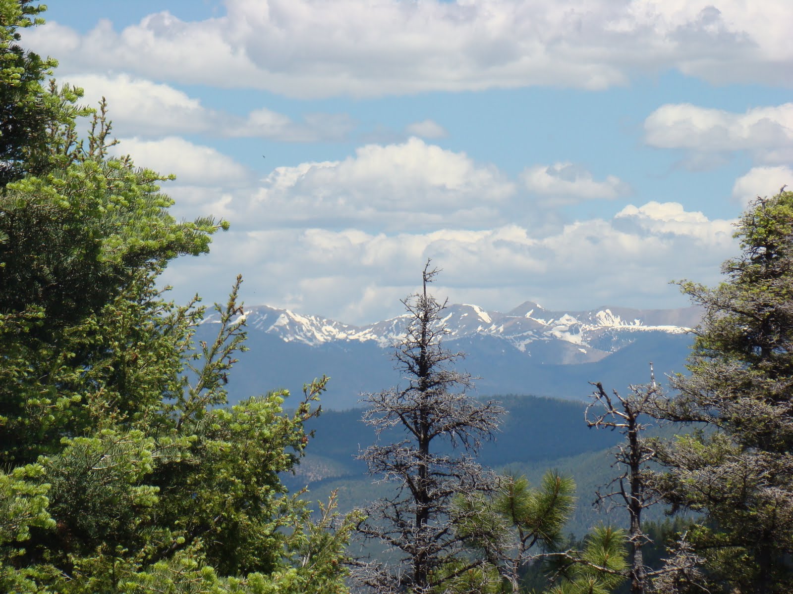 Life and Times on Pleasant Pond Memorial Day Weekend in New Mexico