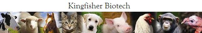 Kingfisher Biotech