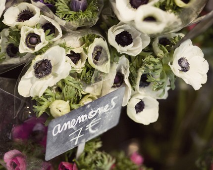 [il_430xN.59495421.jpg]