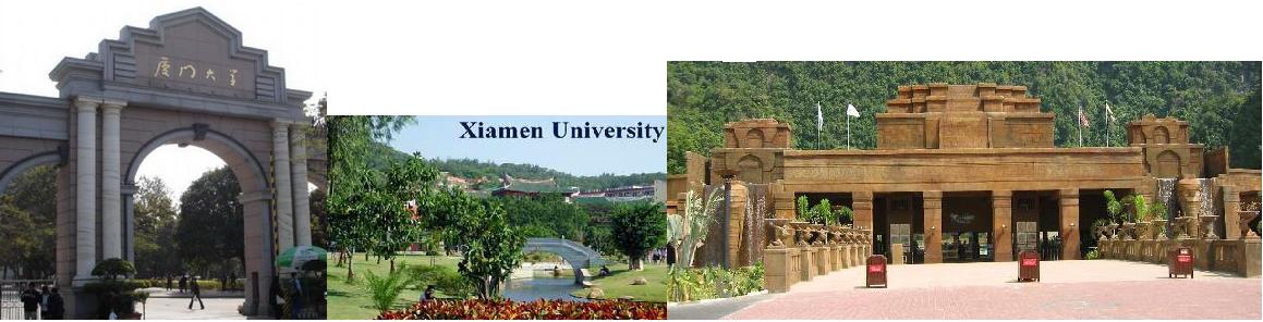 Xiamen Team Acupuncture