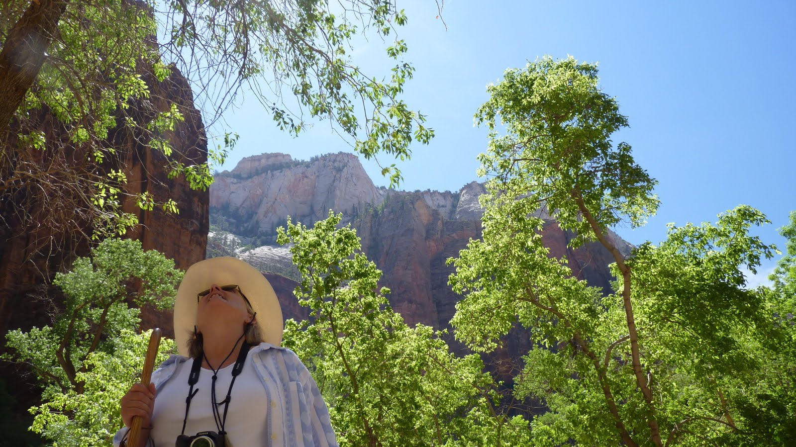 Travels with Larry and Marsha Glendale and Zion National Park