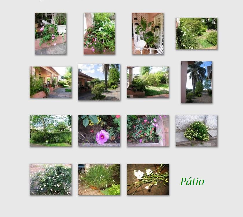 [Pátio.JPG]