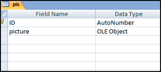 The DotNet Heaven: Read OLE Object type image field in C#.net