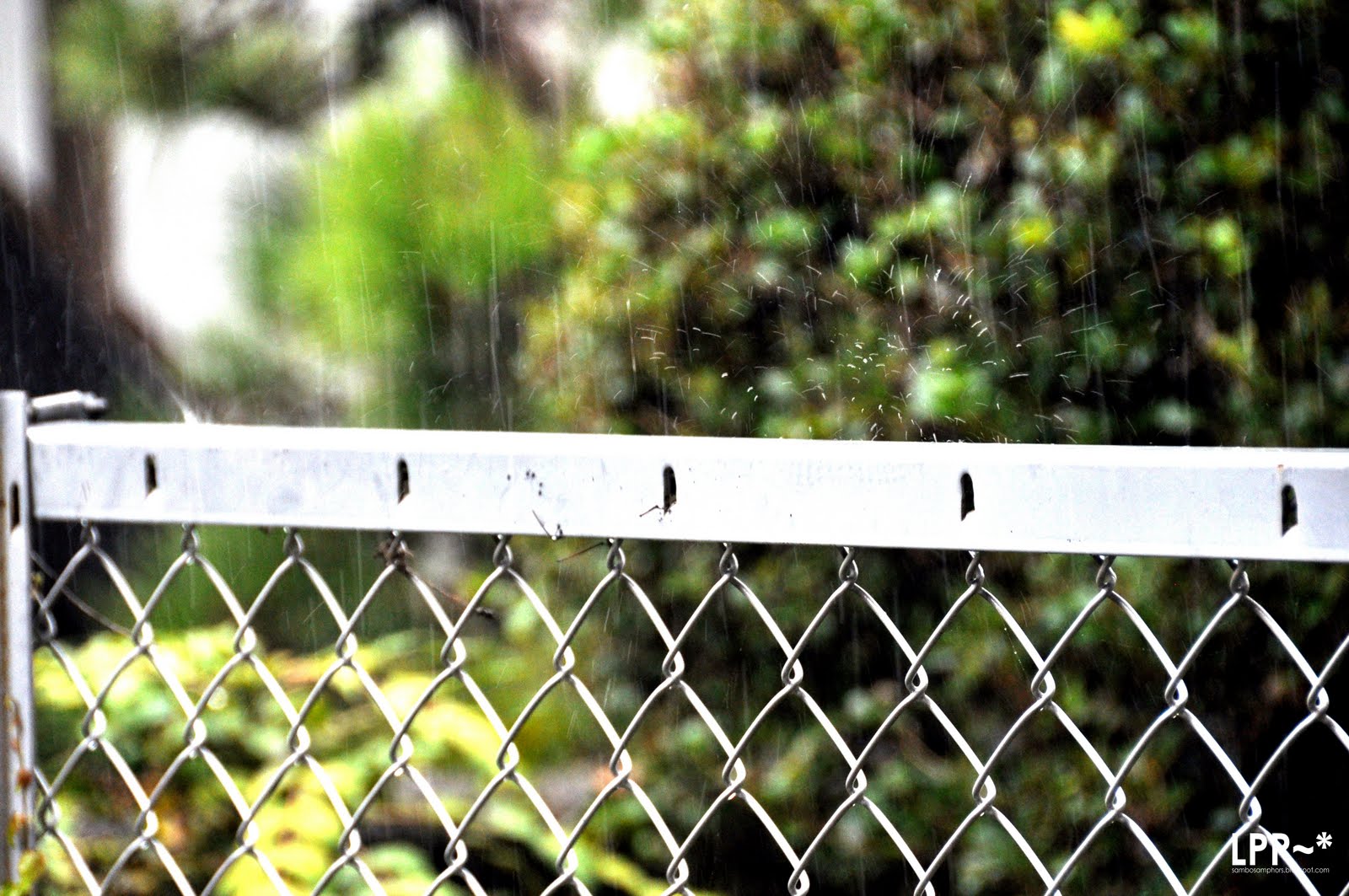 [On+the+frence+-+named.JPG]