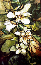 magnolia 1900