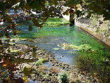 près de la source Fontaine de Vaucluse