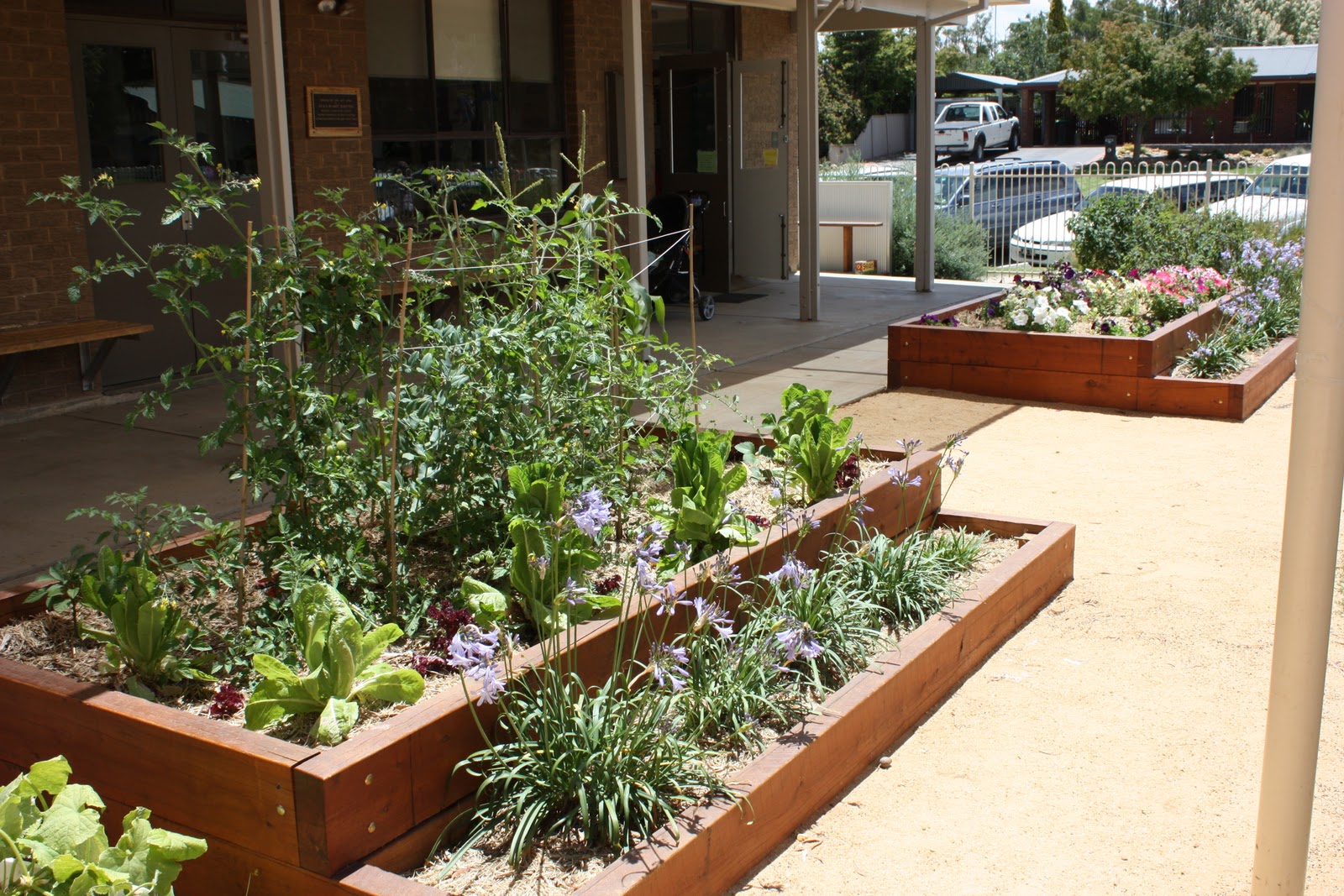 Eden Design Echuca Central Kinda/Preschool Garden