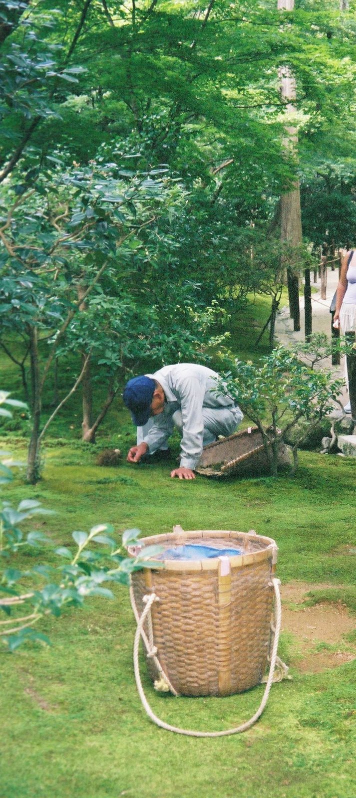 [jardineiro.jpg]