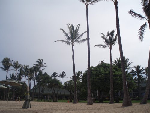 [PC060097.JPG]