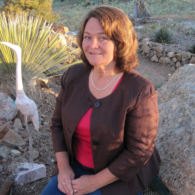 Judd for AZ House