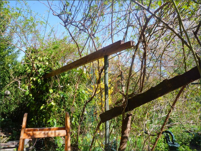 Meine grüne Leidenschaft: Pergola wird erneuert