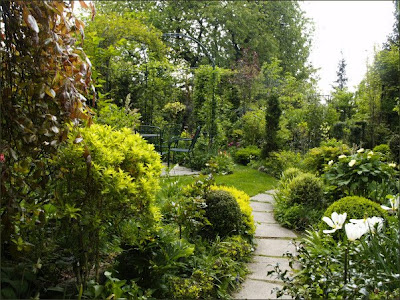 Meine grüne Leidenschaft: Garteneinblick