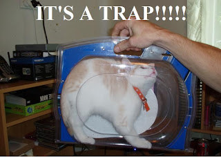 Funny Comedy Pics: July 2010